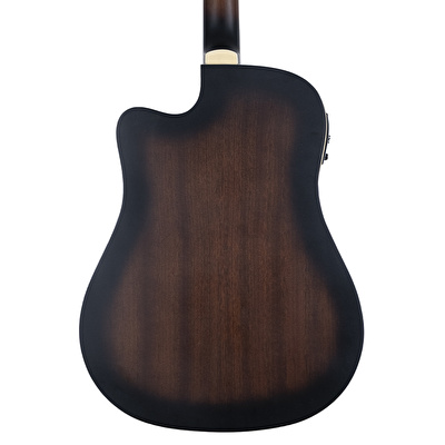 HAZE F-650/DVS CEQ Elektro Akustik Gitar