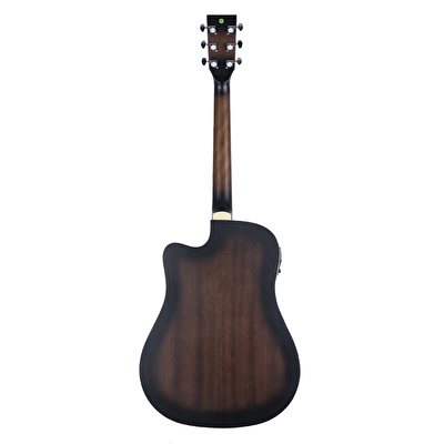 HAZE F-650/DVS CEQ Elektro Akustik Gitar