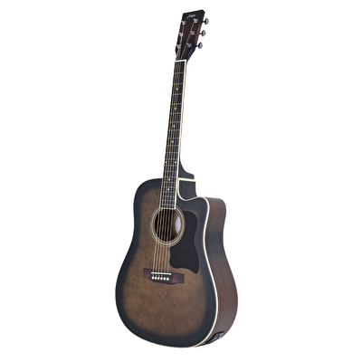 HAZE F-650/DVS CEQ Elektro Akustik Gitar