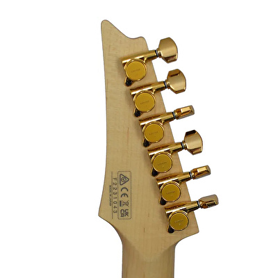 Ibanez JS2GD Joe Satriani Signature Serisi Elektro Gitar