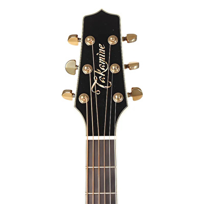Takamine LTD2022 Elektro Akustik Gitar