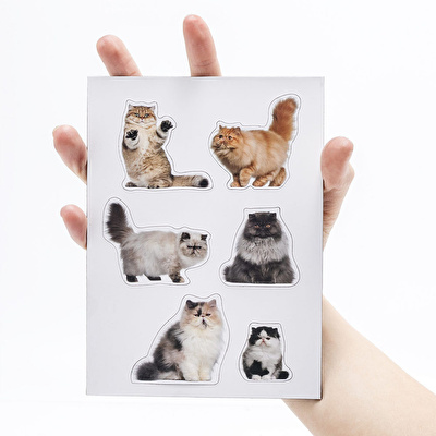 MUSTARD Kedi Magnet