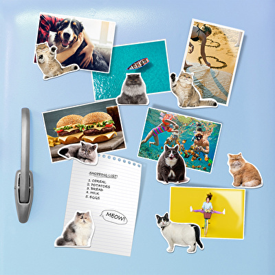 MUSTARD Kedi Magnet