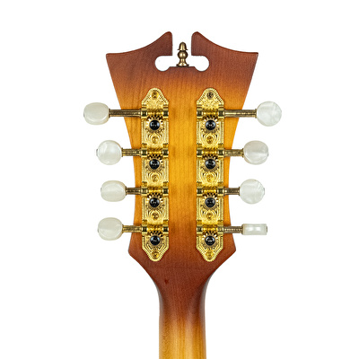 D’ANGELICO DAMFSSATWE Elektro Mandolin