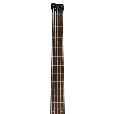 Ibanez EHB605-WNF Bass Workshop EHB Serisi 5 Telli Bas Gitar