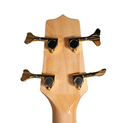 Takamine GB72CE-NAT Akustik Bas Gitar
