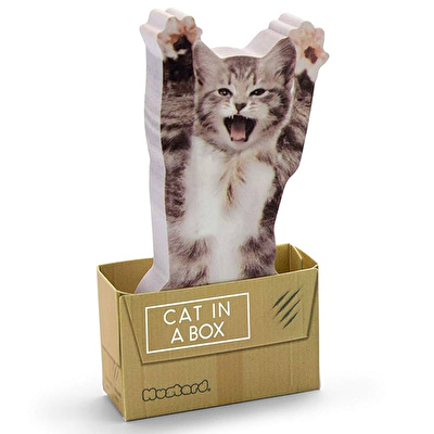 MUSTARD Cat in a Box Yapışkanlı Not Kağıdı