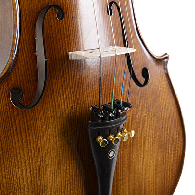 VANETTA VL-3VA 4/4 Masif Viyola