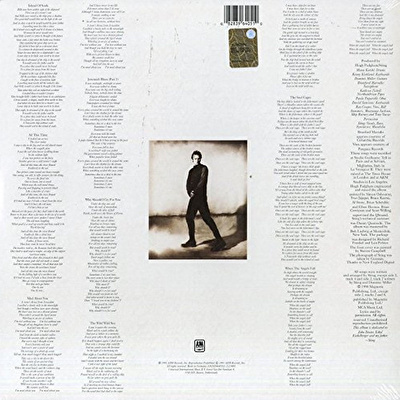 Sting - The Soul Cages