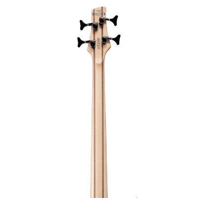 Ibanez SR300E-DOT Bas Gitar