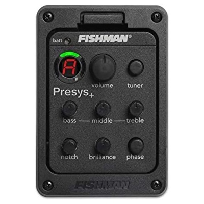 Martinez Fishman PSY-201 EQ Sistem