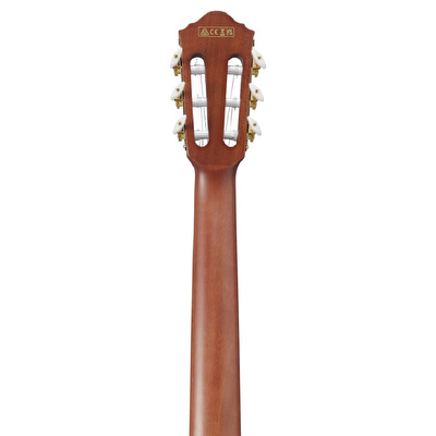 IBANEZ FRH20SMN-TCL Elektro Klasik Gitar
