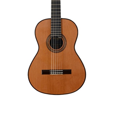 Martinez Monaco C Professional Serisi Klasik Gitar
