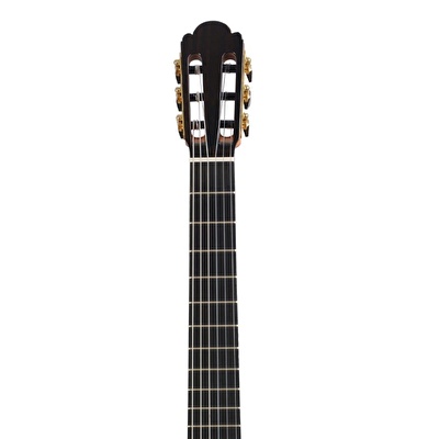 Martinez Monaco C Professional Serisi Klasik Gitar
