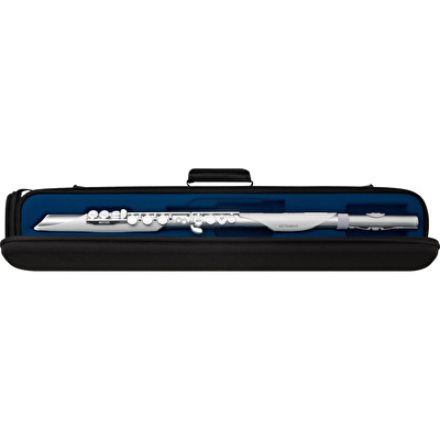 ROLAND AE-BRISA Aerophone Dijital Nefesli Enstrüman