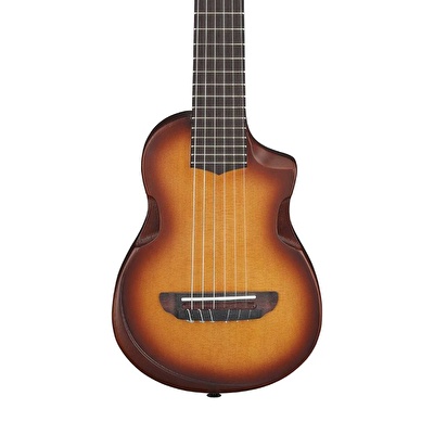 Ibanez AUP10N-OLB Klasik Gitar