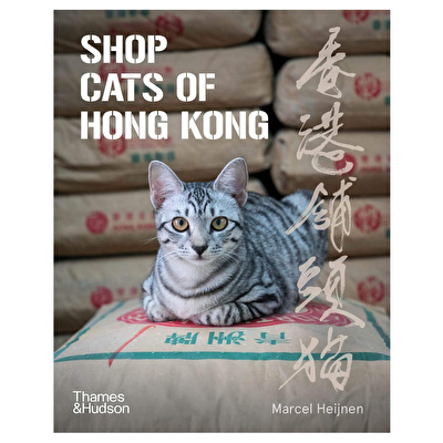 Shop Cats Of Hong Kong