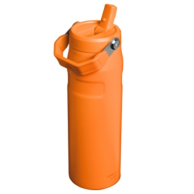STANLEY The IceFlow™ Bote Flip Straw 2.0 0.7L / 24oz Goldenrod Coral