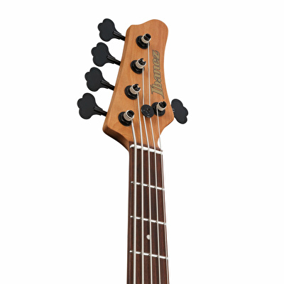 Ibanez MDM1605-DTW Mode Serisi  Bas Gitar