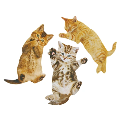 SUCK UK Kedi Törpü