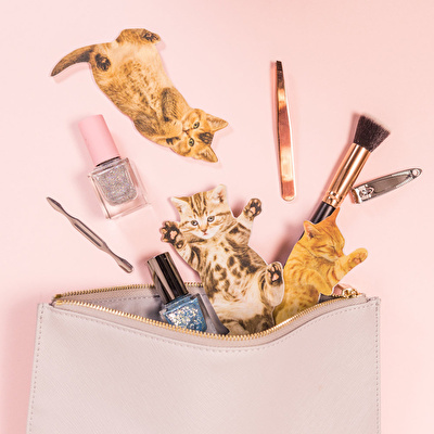 SUCK UK Kedi Törpü