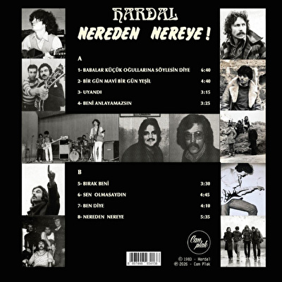 Hardal - Nereden Nereye (Renkli Plak)