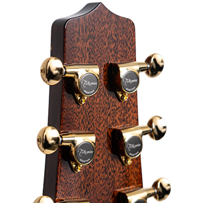 Takamine LTD2025 Elektro Akustik Gitar
