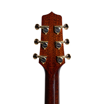 Takamine LTD2025 Elektro Akustik Gitar