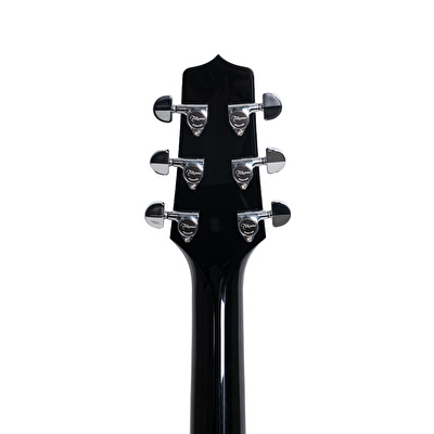 Takamine EF341SC Elektro Akustik Gitar