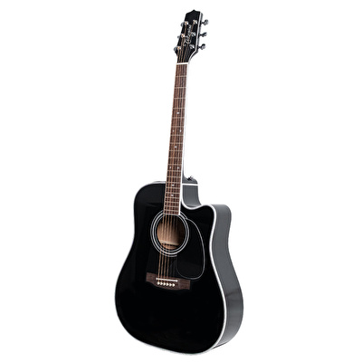 Takamine EF341SC Elektro Akustik Gitar