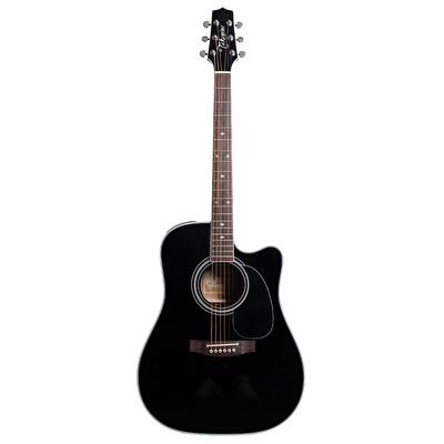 Takamine EF341SC Elektro Akustik Gitar