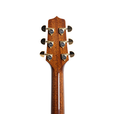 Takamine P5DC Dreadnought Elektro Akustik Gitar