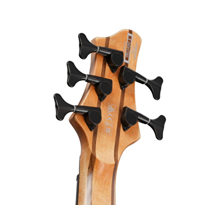 IBANEZ BTB805MS-FNL Bass Workshop BTB Serisi 5 Telli Bas Gitar
