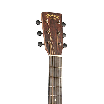 Martin D-10E Elektro Akustik Gitar