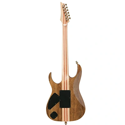 IBANEZ IVRG2 VISION Elekto Gitar