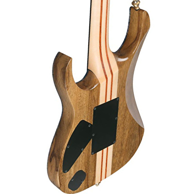 IBANEZ IVRG2 VISION Elekto Gitar