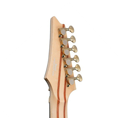 IBANEZ IVRG2 VISION Elekto Gitar