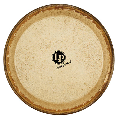 LATIN PERCUSSION LP803A - 9.75" MTD Rawhide Requinto Head