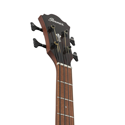 IBANEZ AEGB24E-MHS  Serisi Akustik Bas Gitar