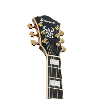 IBANEZ AG95MG-DA Artcore Elektro Gitar