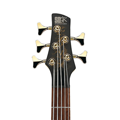 IBANEZ SR305EDX-FDM 5 Telli Bas Gitar