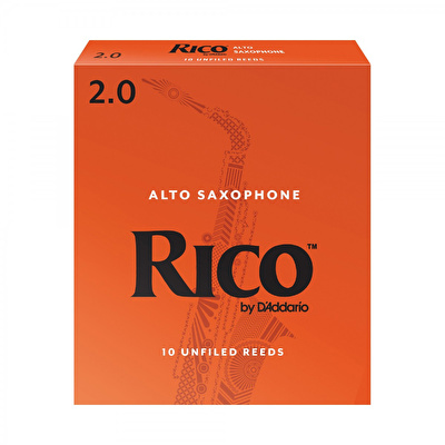 DADDARIO RJA1020 Rico Alto Saksafon Kamışı No:2 - 10'lu Kutu