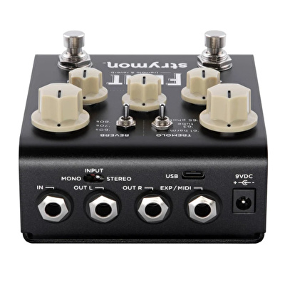 STRYMON Flint V2 Tremolo ve Reverb Pedalı