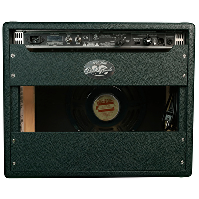 Fender Limited Edition Tone Master Jameson Princeton Reverb Elektro Gitar Amfisi
