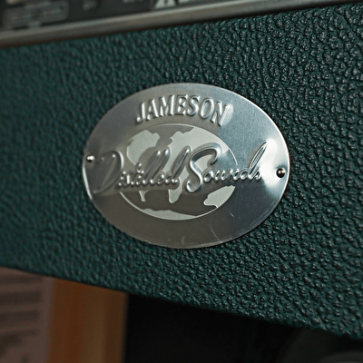 Fender Limited Edition Tone Master Jameson Princeton Reverb Elektro Gitar Amfisi