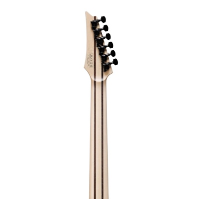 Ibanez RG5121RET-PRT RG Polar Lights Elektro Gitar