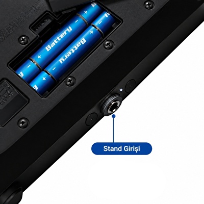 ROLAND MOBILE-AC Acoustic Chorus Gitar Amfisi
