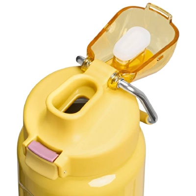 STANLEY The Wellspring Bottle 0.7L / 24oz Dijon Gloss