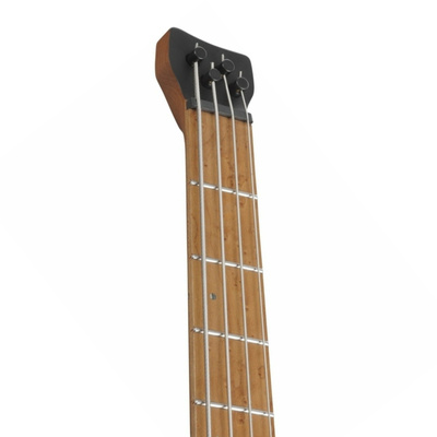 Ibanez EHB1000-AOM Bas Gitar (GigBag Dahil)