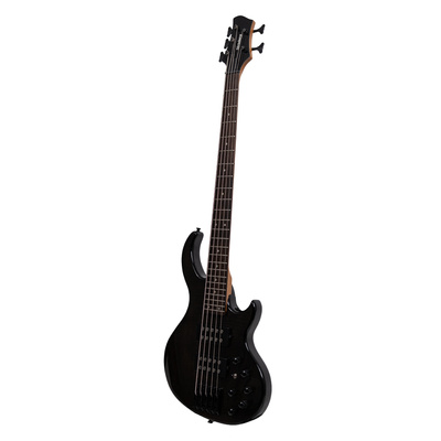 Strinberg B555 5 Telli Siyah Bas Gitar (Gigbag Dahil)